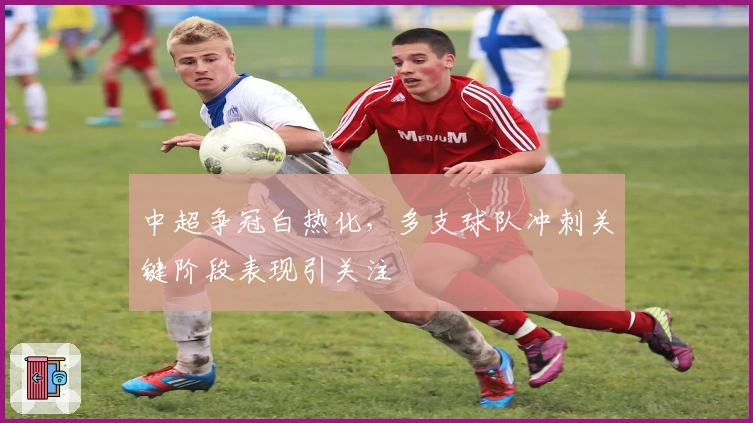 中超争冠白热化，多支球队冲刺关键阶段表现引关注